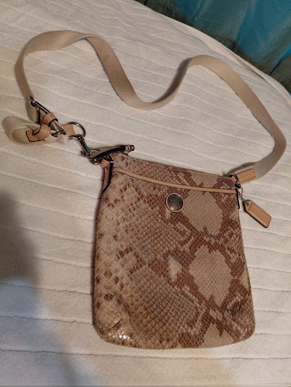 Coach python snake crossbody bag.